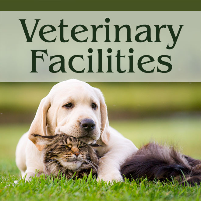 Pet Care Facilities