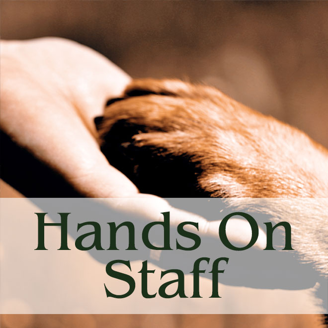 Hands On Staff